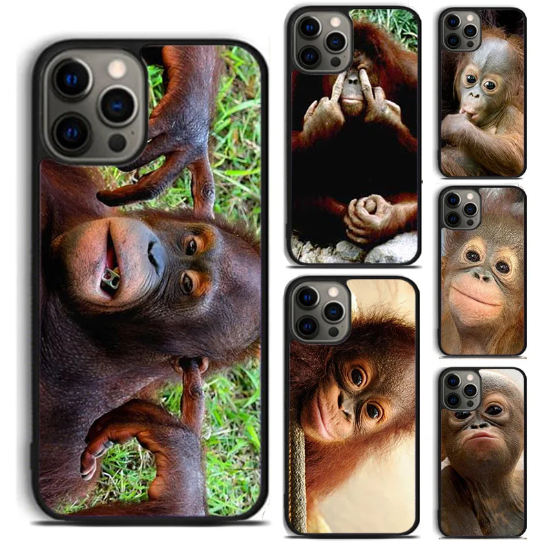 Милый чехол для телефона с обезьянкой-орангутангом для Apple 11 12 13 14 Pro Max XS XR 8 7 Plus для coque