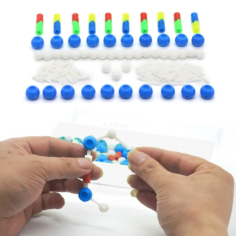 Модель Структуры двойной спирали Модели ДНК Учебный Инструмент по Биологическим Наукам для Показа в Классе Естественных Наук Обучающая Модель