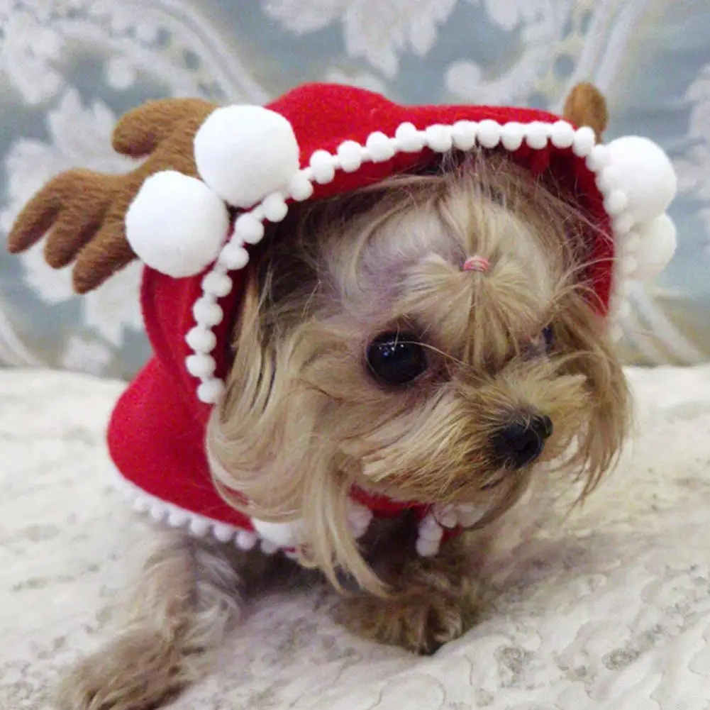 Одежда для домашних животных Рождественский Зимний Теплый Забавный Плащ для домашних животных со шляпой, Плащ с капюшоном для домашних животных, Отличный костюм для собаки